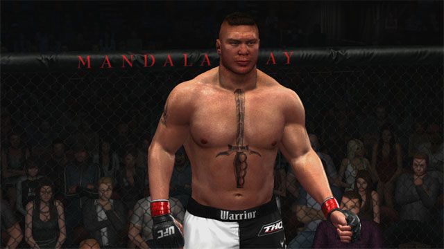 UFC 2009 Undisputed