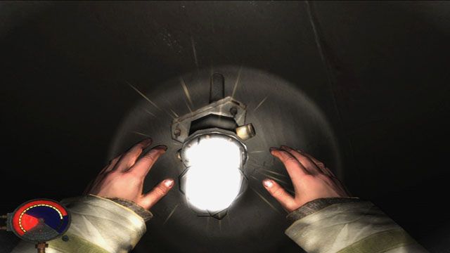 Cryostasis