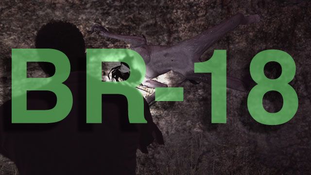 Deadly Premonition: Part BR-18