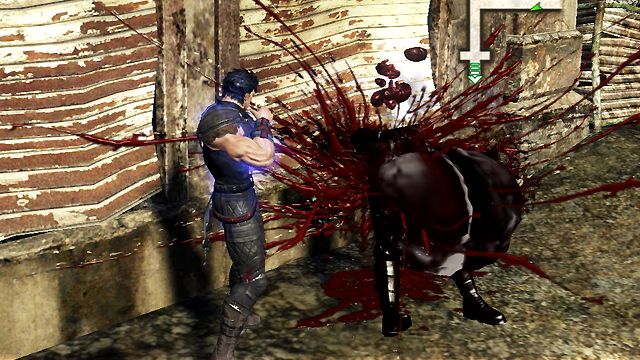 Fist of the North Star: Ken's Rage