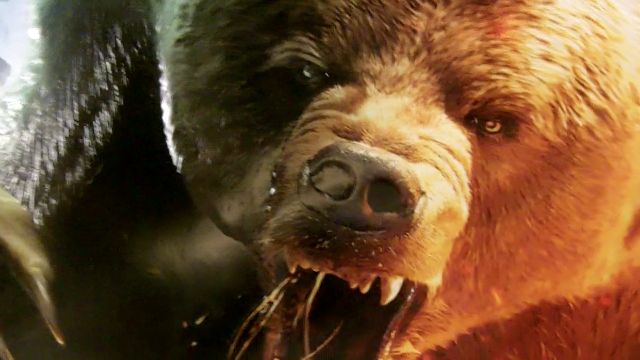 Giant Bomb Mailbag: Help the Bear Edition