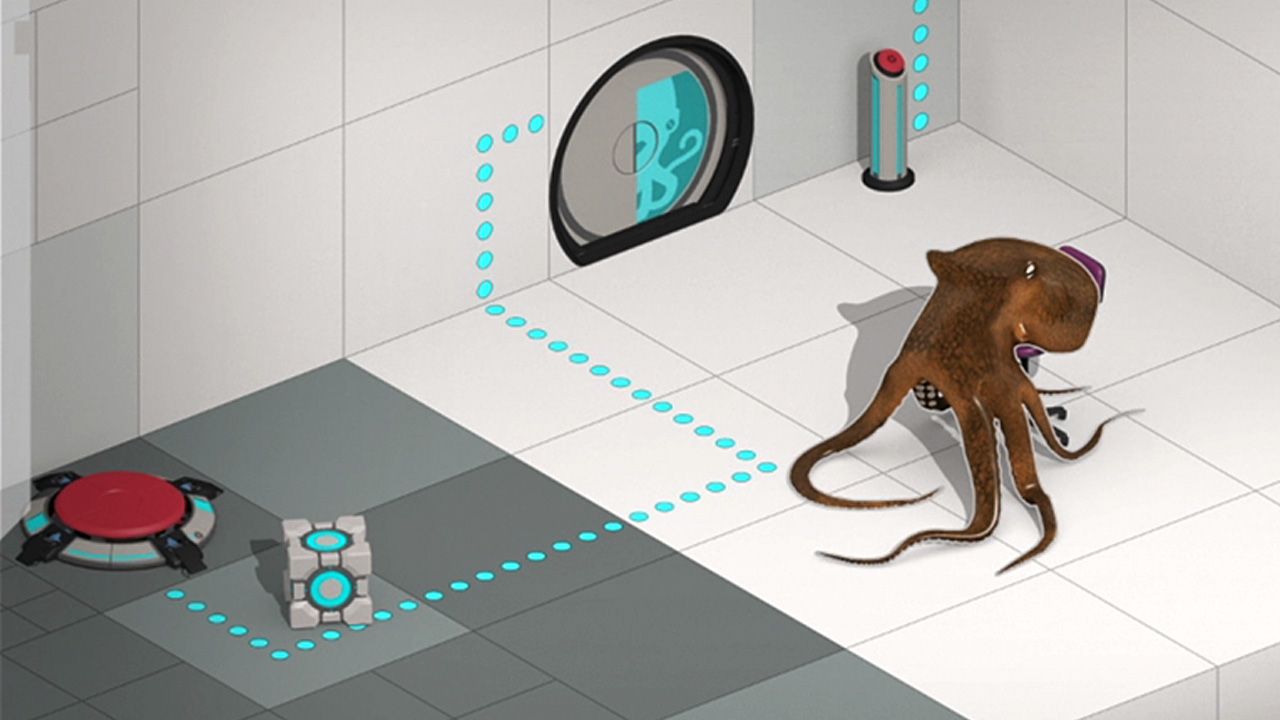 Portal 2: Perpetual Testing Initiative