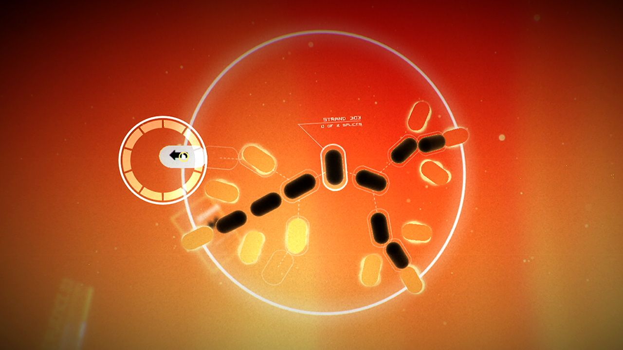 Splice