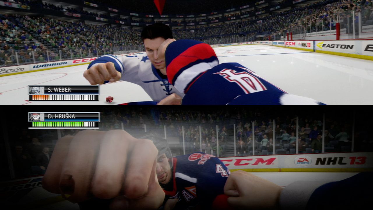 NHL 13