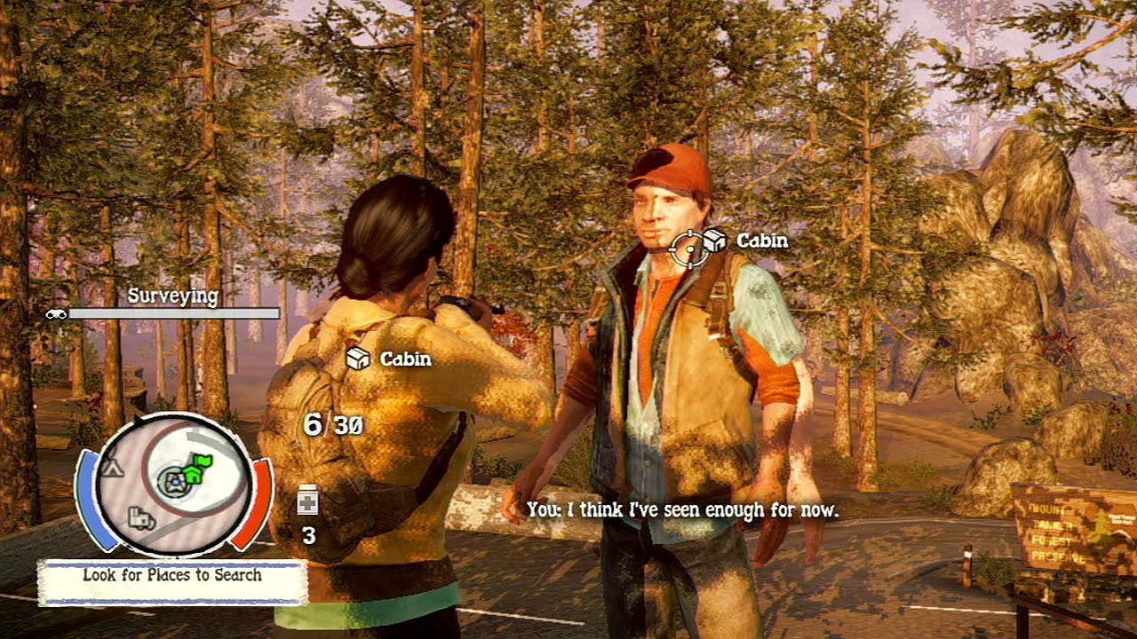 State of Decay