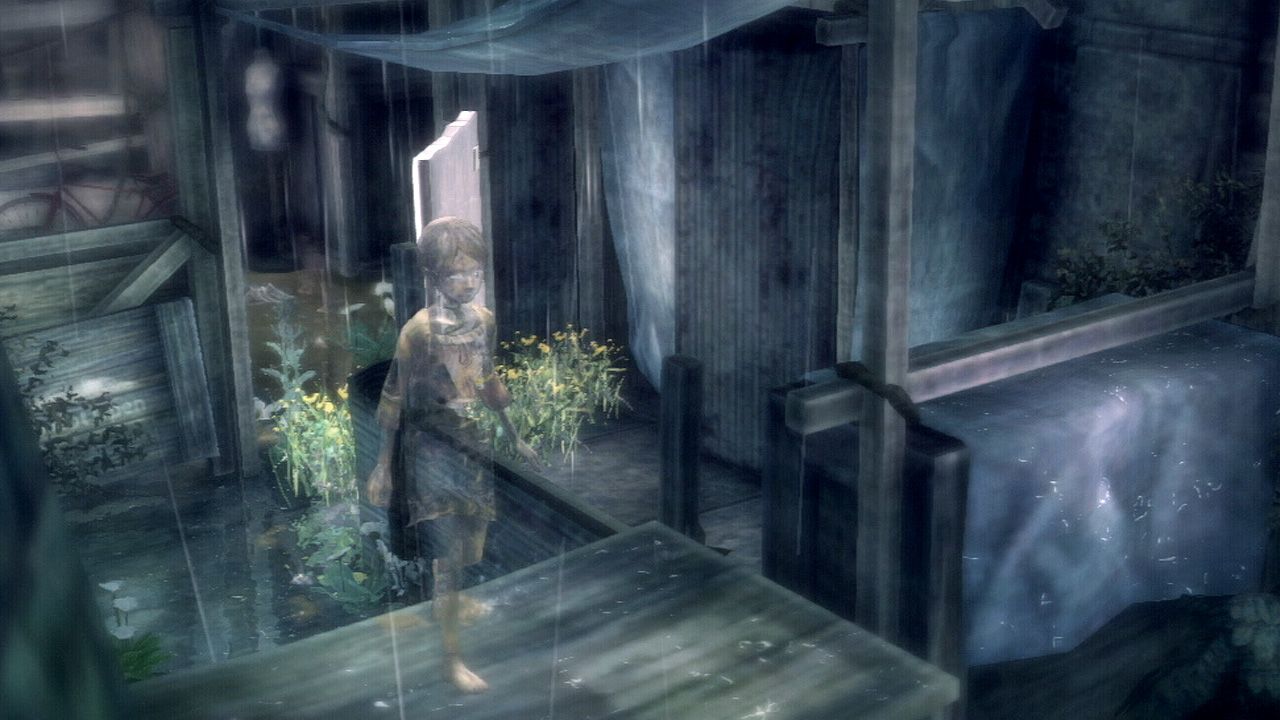 Rain