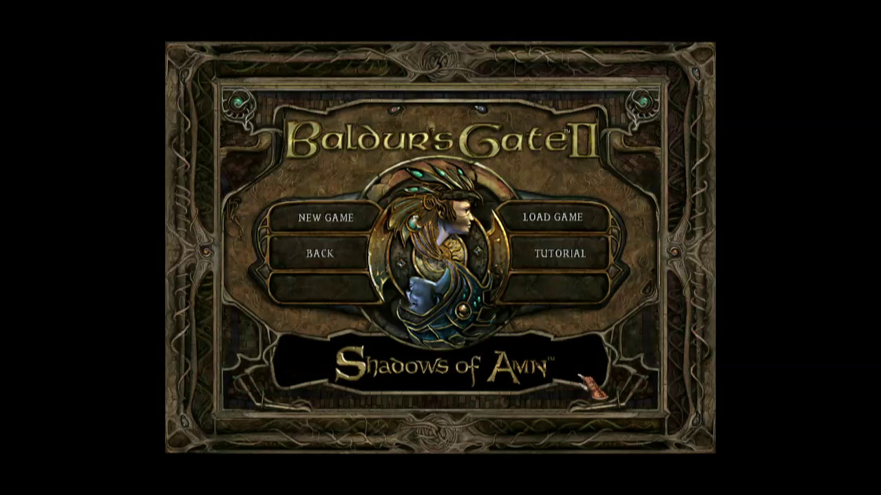 Random PC Game: Baldur's Gate II
